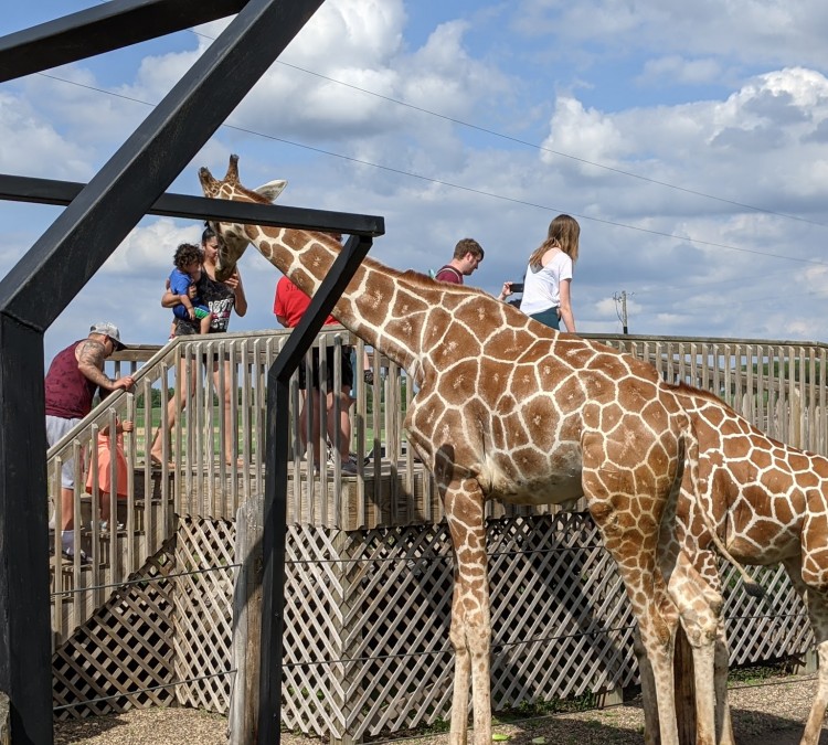 Hemker Park and Zoo ( closed for the season) (Freeport,&nbspMN)